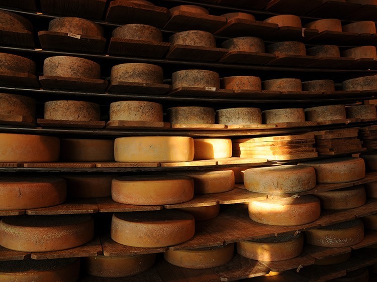 Fromagerie Au Gré Des Champs Fromagerie Et Chocolaterie Tourisme Montérégie 